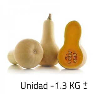 Anco Batata x UD 1.3 KD