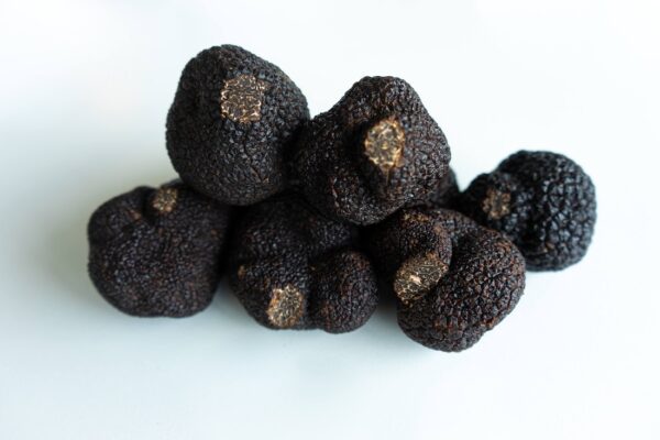 Trufa Negra Fresca Premium (Tuber melanosporum)